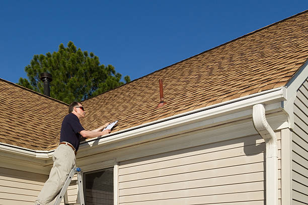Best Roof Moss and Algae Removal  in Alamo, TX