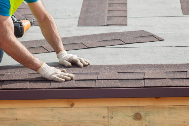 Best Metal Roofing Installation  in Alamo, TX